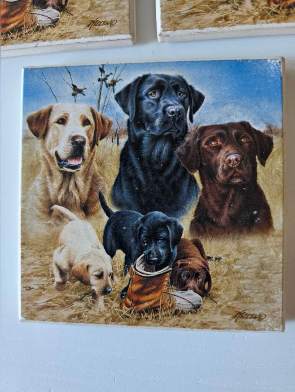 Set of 3 Labrador Retriever Coasters - Yellow, Black, Chocolate
